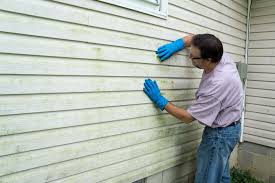 Best Vinyl Siding Installation  in Tok, AK